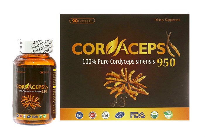 Cordaceps – Cải thiện sinh lý