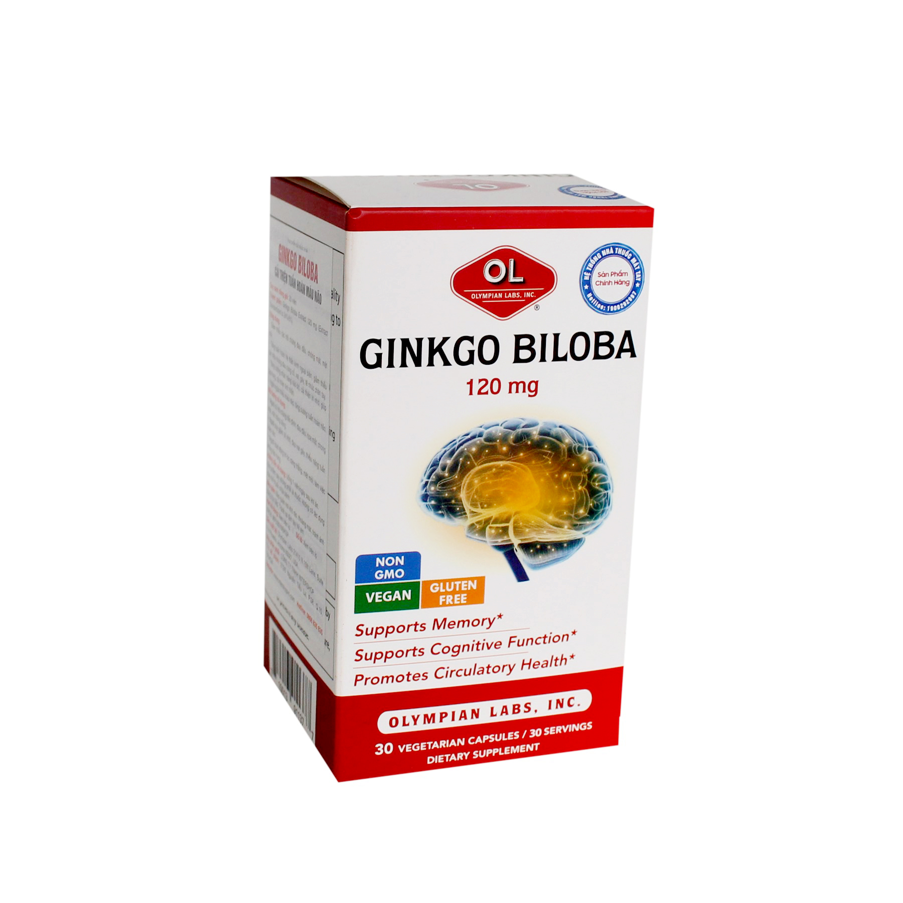 Ginkgo Biloba 120mg – Giúp tăng cường tuần hoàn máu não